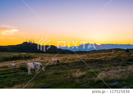 美ヶ原・夕景 美ヶ原・夕景 117525836