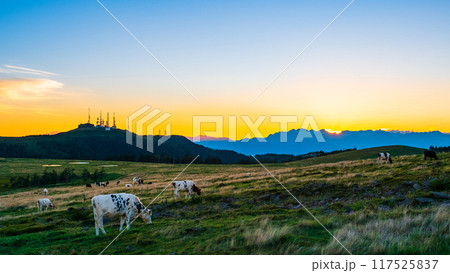 美ヶ原・夕景 117525837