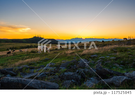 美ヶ原・夕景 美ヶ原・夕景 117525845