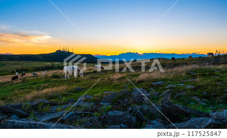 美ヶ原・夕景 117525847