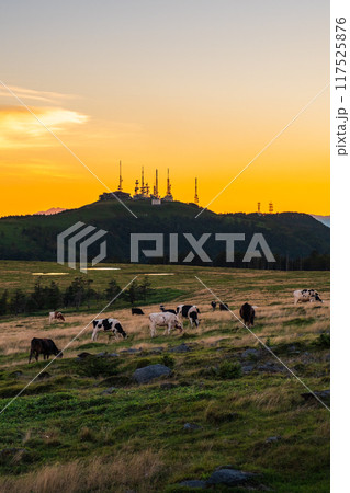 美ヶ原・夕景 美ヶ原・夕景 117525876