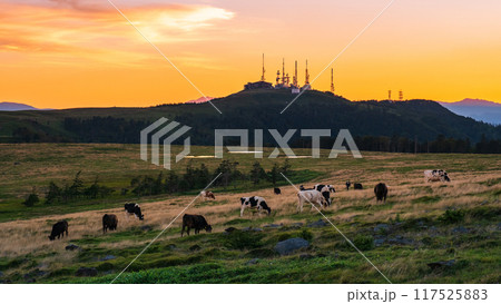 美ヶ原・夕景 美ヶ原・夕景 117525883