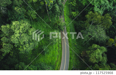 Aerial top view road In the countryside and green trees along the roadside Aerial top view road In the countryside and green trees along the roadside 117525908