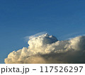 青い空と白い雲 117526297