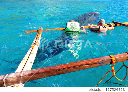 甚兵衛鮫観光 甚兵衛鮫観光 117526528