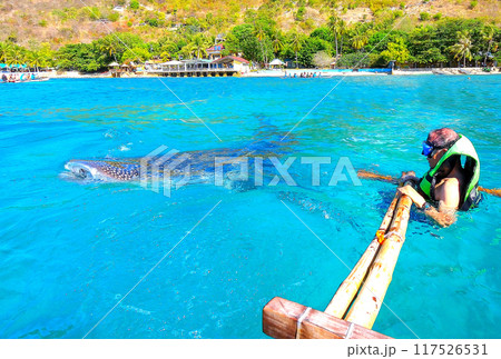 甚兵衛鮫観光 117526531