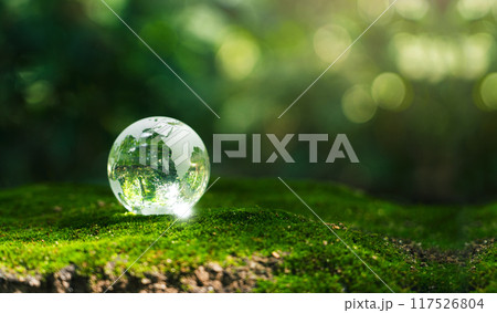 Crystal earth in forest Environment, save world, earth day and conservation and renewable energy concept. 117526804