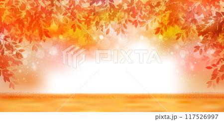 紅葉 秋 風景 背景 紅葉 秋 風景 背景 117526997