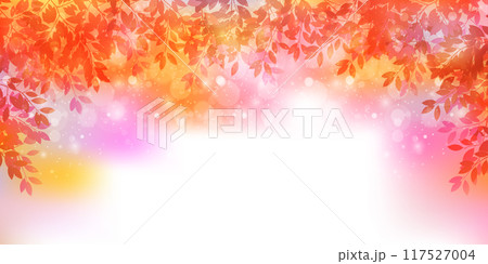 紅葉　葉　秋　背景	 117527004