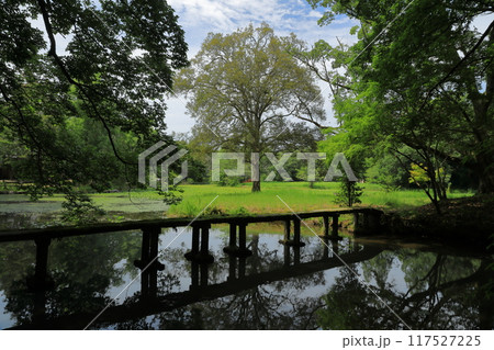 水面に橋が写り込む宇佐神宮菱形池の風景 水面に橋が写り込む宇佐神宮菱形池の風景 117527225