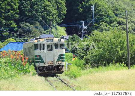 小湊鐵道「里山のカンナの花咲くカーブを行くキハ40」 小湊鐵道「里山のカンナの花咲くカーブを行くキハ40」 117527678
