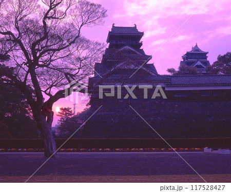 熊本城、大天守と小天守（別名:銀杏城）と朝日/「日本三名城」/「国指定特別史跡」 117528427
