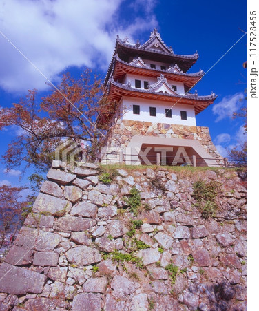 淡路島、三熊山の洲本城（別名:三熊城）と桜紅葉/「国指定史跡」/「瀬戸内海国立公園」 117528456