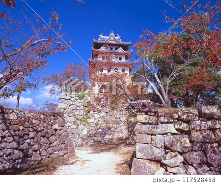 淡路島、三熊山の洲本城(別名:三熊城)と桜紅葉/「国指定史跡」/「瀬戸内海国立公園」 淡路島、三熊山の洲本城(別名:三熊城)と桜紅葉/「国指定史跡」/「瀬戸内海国立公園」 117528458