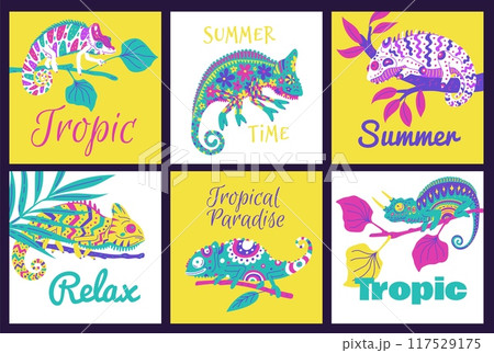 Vector set of posters with cute colorful chameleons text on a white and yellow background 117529175