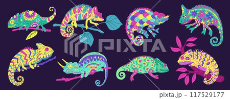 Cute colorful beautiful painted chameleon with curled tail flat vector set, exotic wild guana, tropical lizard animal 117529177