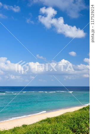 奄美大島　秋晴れの青空と爽やかな海 117529214