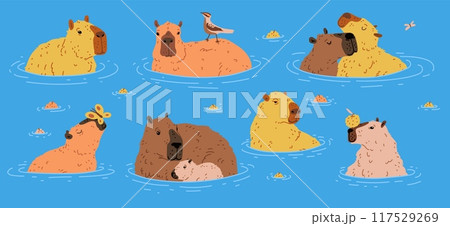 vector illustration a capybara standing in the water surrounded by a pair of apples 117529269