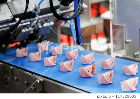 stuffed dumpling moving on the conveyor belt from automatic machine at food making production line in the factory. high technology of food automation machine working at the manufacturing. stuffed dumpling moving on the conveyor belt from automatic machine at food making production line in the factory. high technology of food automation machine working at the manufacturing. 117529639