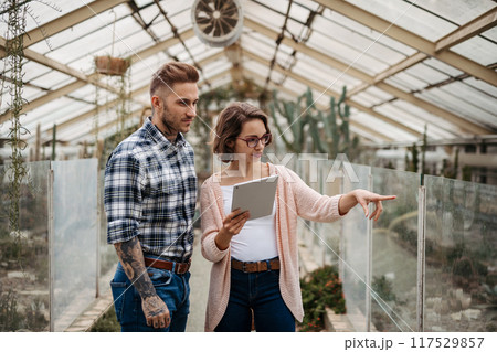 Small greenhouse business. Businesswoman and manager talking, standing in greenhouse, looking at camera, smiling. Small greenhouse business. Businesswoman and manager talking, standing in greenhouse, looking at camera, smiling. 117529857
