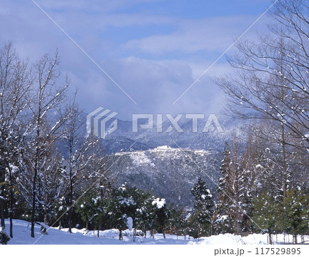 天空の城「竹田城跡」の雪景色/朝来山中腹より展望/日本100名城/国指定史跡 /兵庫県朝来市和田山町 117529895