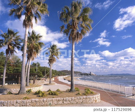 赤穂御崎にある南国ムード漂う唐船海岸と家島諸島/「瀬戸内海国立公園」/ 兵庫県赤穂市 117529896