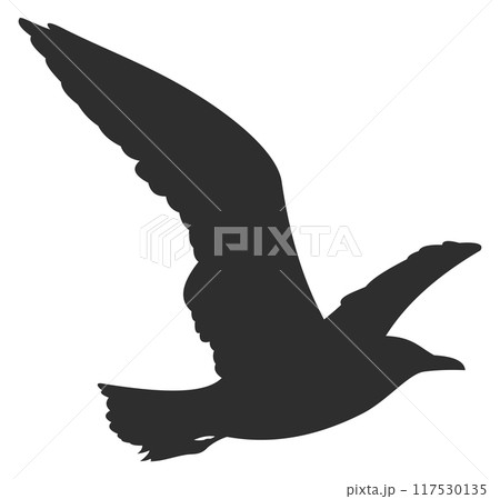 Flying seagull silhouette. Free wild bird icon Flying seagull silhouette. Free wild bird icon 117530135