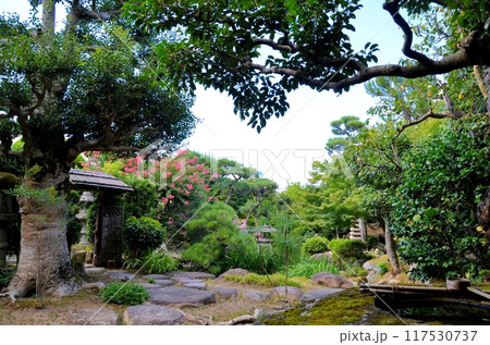 旧小河家庭園 117530737