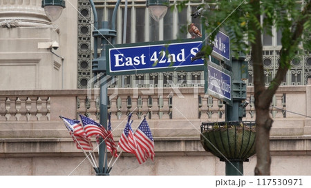 New York City Grand Central Terminal, 42 street sign, Park Avenue, Pershing Square. American flag. 117530971