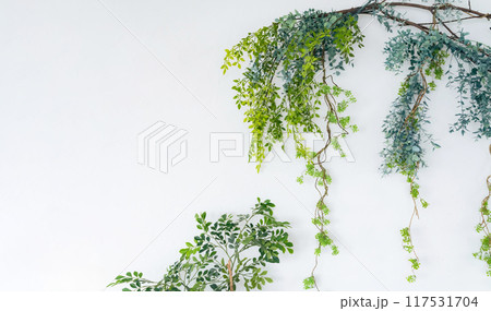 白壁にかけられた木の枝の装飾 白壁にかけられた木の枝の装飾 117531704