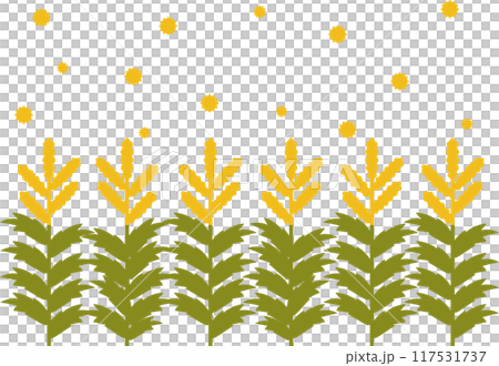 シンプルな秋の花粉症のブタクサから花粉が飛んでいるイメージ素材 117531737