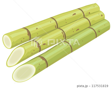 さとうきび 117531819