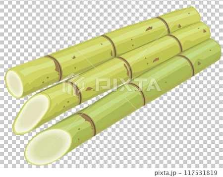 さとうきび 117531819