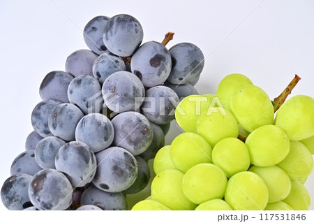 シャインマスカットと種無し巨峰、ぶどう、ブドウ、果物、フルーツ、グレープ。 シャインマスカットと種無し巨峰、ぶどう、ブドウ、果物、フルーツ、グレープ。 117531846
