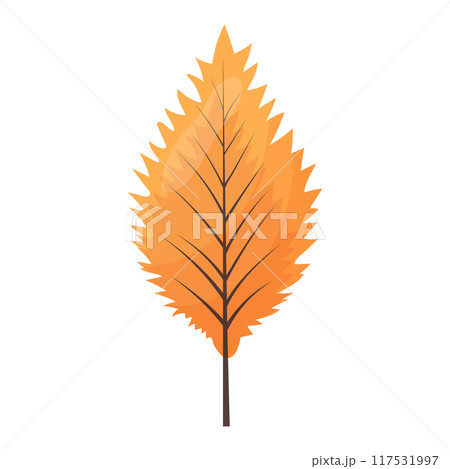 autumn colored bright leaf highlighted on a white background. autumn colored bright leaf highlighted on a white background. 117531997