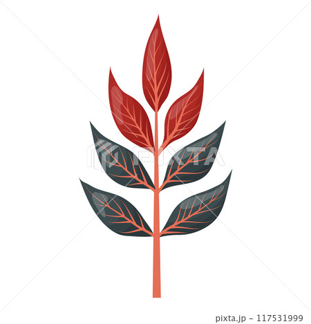 autumn colored bright leaf highlighted on a white background. autumn colored bright leaf highlighted on a white background. 117531999
