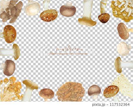Frame material of various mushrooms drawn by watercolor 117532364