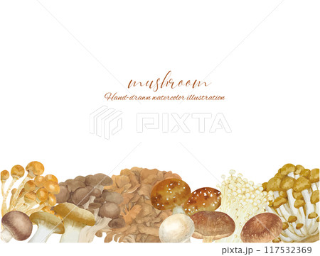 水彩手書きの色々なキノコの背景 117532369