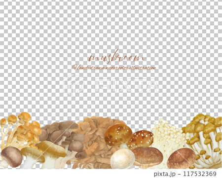 Watercolor hand-drawn background of various mushrooms 117532369