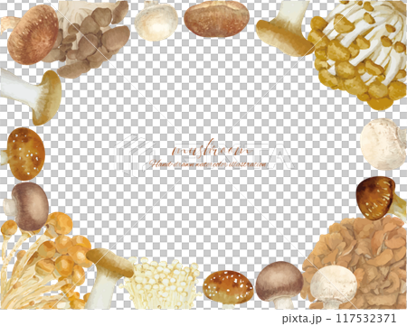 水彩手書きの色々なキノコのフレーム素材 117532371