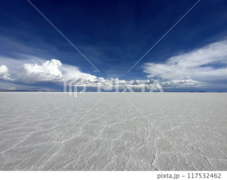 ボリビア•ウユニ塩湖 117532462