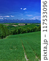 北海道・美瑛町 初夏の五稜の丘からの風景 117533096