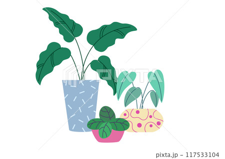 2304_plant_3 2304_plant_3 117533104