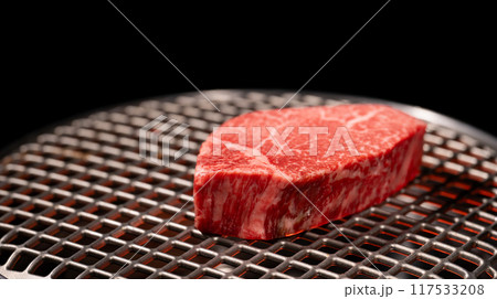 焼き肉　網焼き　ヒレ肉 117533208