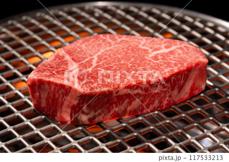 焼き肉　網焼き　ヒレ肉 117533213