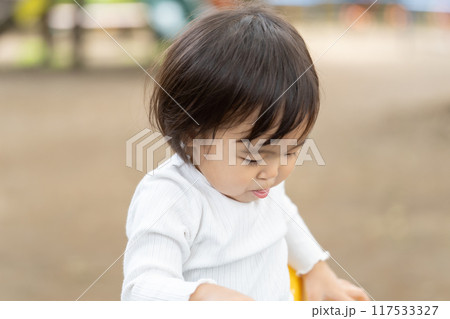 公園の遊具で遊ぶ女の子 117533327