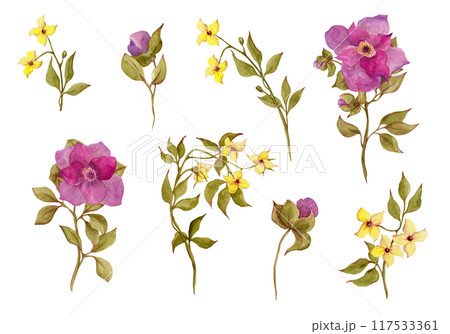 Spring flowers yellow and fuchsia colors. Watercolor garden and wild flowers. Floral large set of wildflowers for your design 117533361
