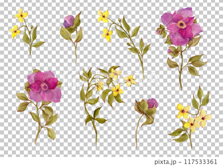 Spring flowers yellow and fuchsia colors. Watercolor garden and wild flowers. Floral large set of wildflowers for your design 117533361