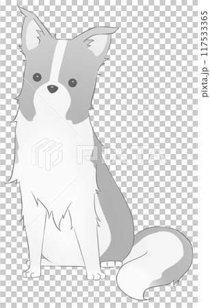 在這裡查看邊境牧羊犬（黑色） 117533365