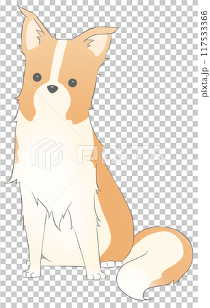 在這裡查看邊境牧羊犬（棕色） 117533366